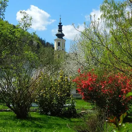 Otel Restaurant Zum Schwan 4*