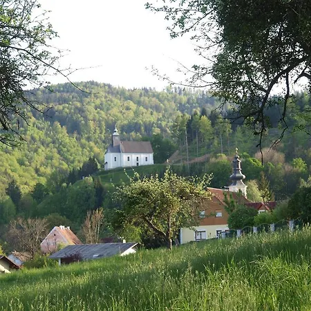 Restaurant Zum Schwan Otel