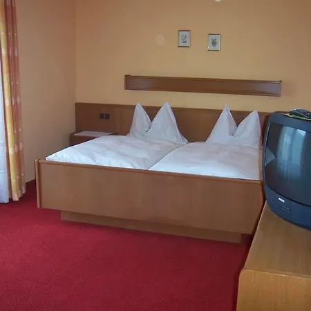 Otel Restaurant Zum Schwan 4*