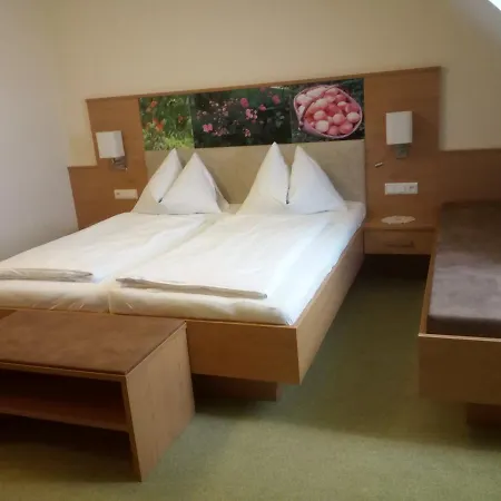 Restaurant Zum Schwan Otel