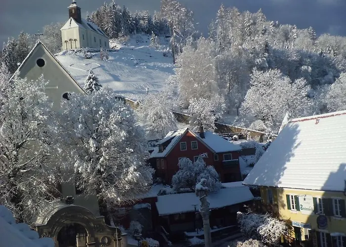 Hotel Restaurant Zum Schwan 4*