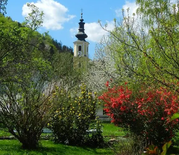 Hotel Restaurant Zum Schwan 4*