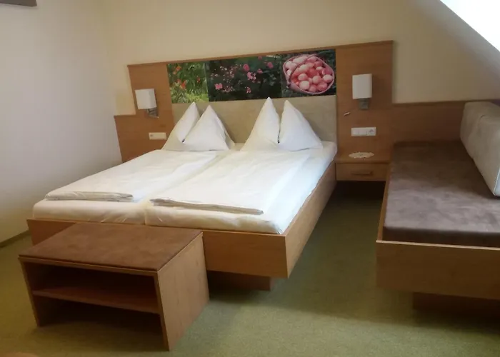 Restaurant Zum Schwan Hotel