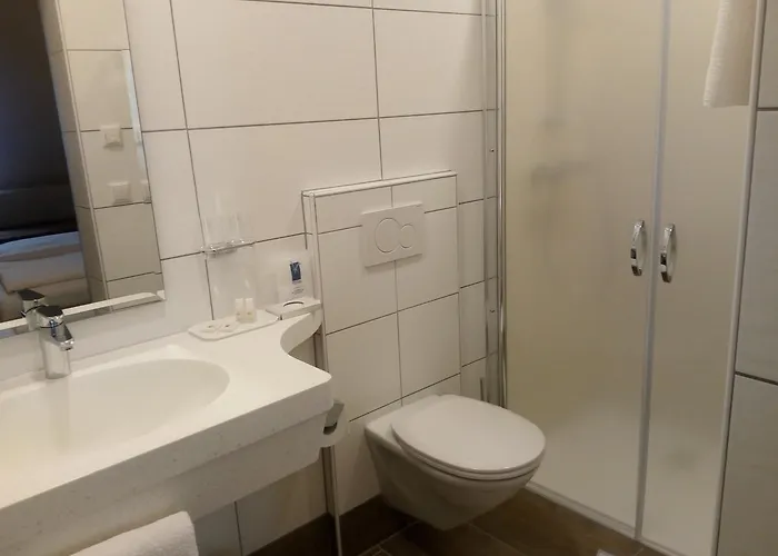 Restaurant Zum Schwan Отель 4*